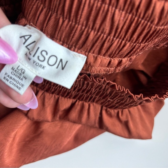 Alison New York Rust Satin Pants - Picture 4 of 4
